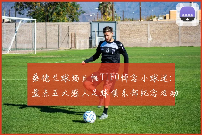 桑德兰球场巨幅TIFO悼念小球迷：盘点五大感人足球俱乐部纪念活动，附暖心时刻解读