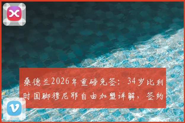 桑德兰2026年重磅免签：34岁比利时国脚穆尼耶自由加盟详解，签约两年薪资、位置及战术影响分析